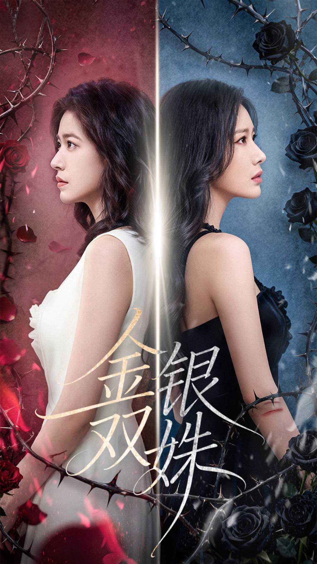 金银双姝封面设计